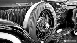 DSC_9126 bw.jpg