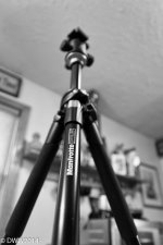 Manfrotto 2500 (1 of 1).jpg