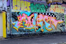 Entrance to the skateboard.jpg