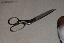 056 Scissors-140225_01.jpg