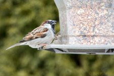 DSC_7620.jpg