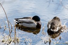 DSC_7627.jpg