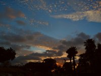 Sunset2.jpg
