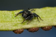 DSC_4892.jpg