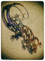 Wall Gecko (1 of 1).jpg