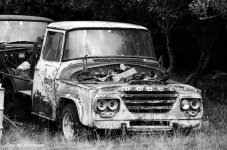Dodge B&W LOL.jpg