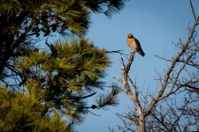 Day57-1.jpg