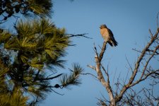 Day57-2.jpg