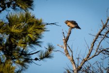 Day57-3.jpg
