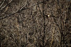 Day57-4.jpg