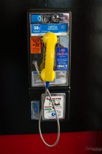 Day57-6.jpg