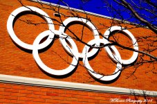Olympic Rings.jpg