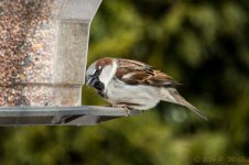 DSC_7643.jpg