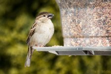 DSC_7646.jpg