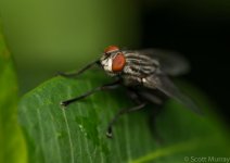 SHM_0808.jpg