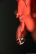 SHM_0801.jpg