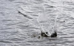 ball hits the water.jpg