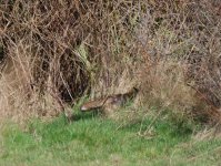 DSC_9050.jpg