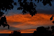 DSC_0988.jpg