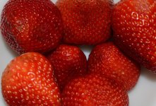 058 Strwberries-140227_01.jpg