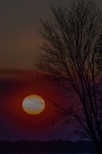 Nikonites-58-2.jpg