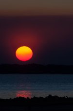 Nikonites-58-6.jpg