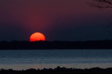 Nikonites-58-7.jpg