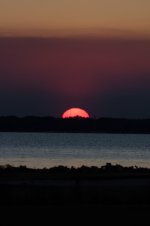 Nikonites-58-8.jpg