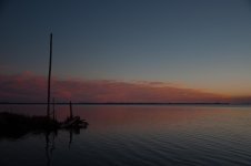 Nikonites-58-9.jpg