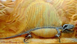 Fossil Dinosaur.jpg
