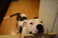 DSC_7877.jpg
