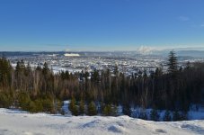 NIK_5514.jpg