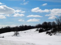 DSCN1340.jpg