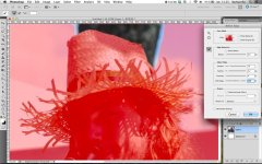 Screen Shot 2014-03-01 at 11.23.43.jpg