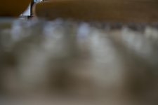 _DSC8531.jpg
