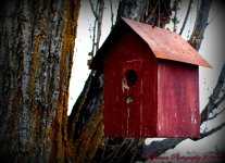 Red Bird House.jpg