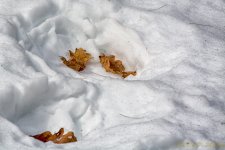 DSC_7674-Edit.jpg