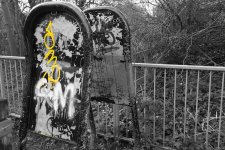 grafitti web.jpg