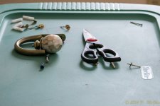 DSC_7679.jpg
