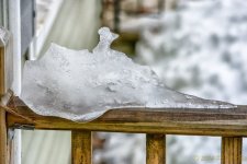 DSC_7687-Edit.jpg