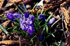 DSC_3167.jpg