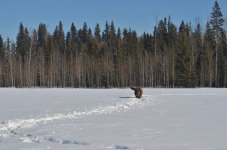NIK_5207.jpg