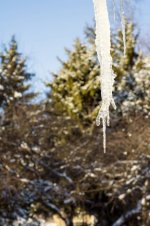 DSC_0975 (533x800).jpg