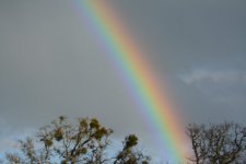 DSC_4279.JPG