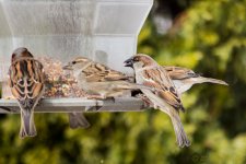 DSC_7703.jpg