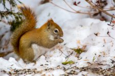 DSC_7705.jpg