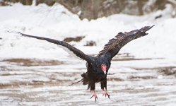DSC_4958.jpg