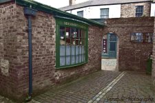 shutts yard.jpg