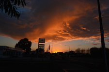 DSC_1098.jpg