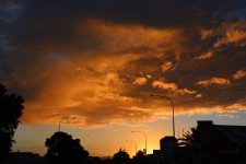 DSC_1100.jpg